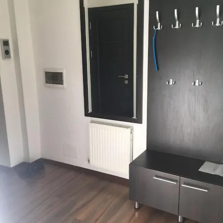 Apartment Комфортная Квартира На Штефана Чел Маре *
